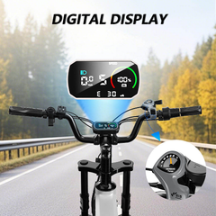 AMYET Usa 24 Hour Shipping Fat Tire Ebike Electrica Big Tyre Charging Cycle Electric City Bike Cargo Electrical Bikes